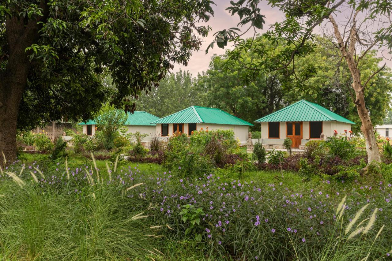 Zana Luxury Forest Resort, Ranthambore Sawai Madhopur Eksteriør bilde